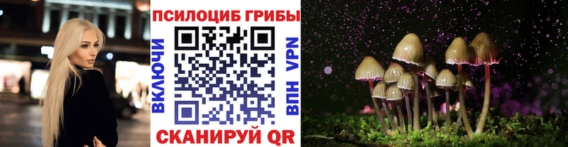 Галлюциногенные грибы мицелий Купить где Катайск